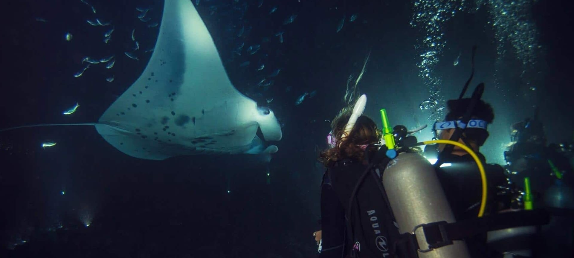 Book A Night Snorkeling Tour At Hol Chan Marine Reserve In Belize